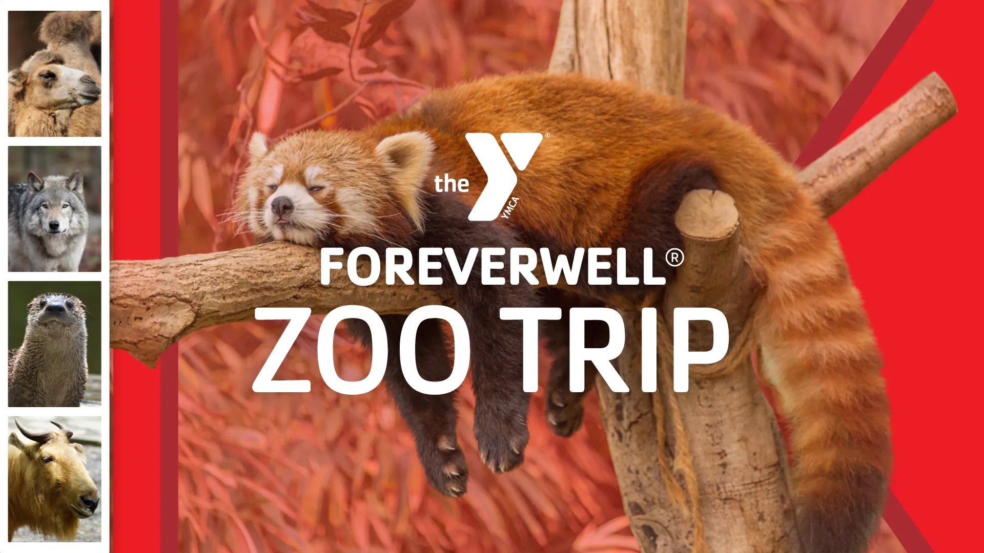 image of foreverwell zoo trip event